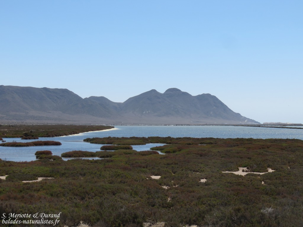 Les salines du Cabo de Gata