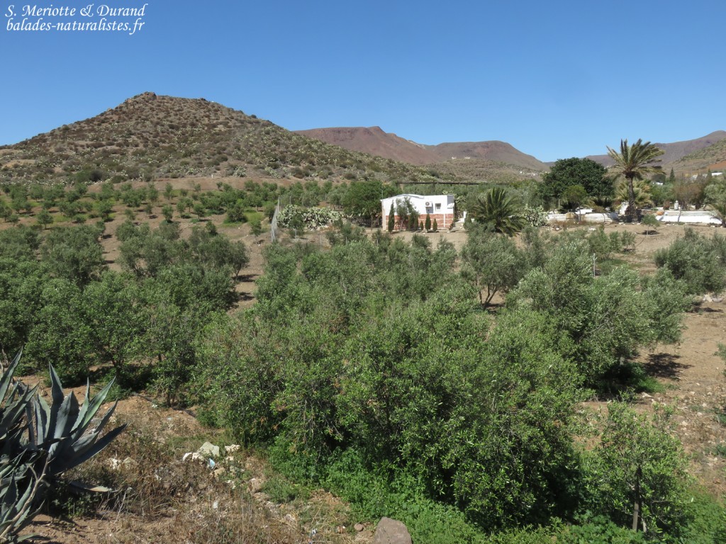 San Jose, Cabo de Gata