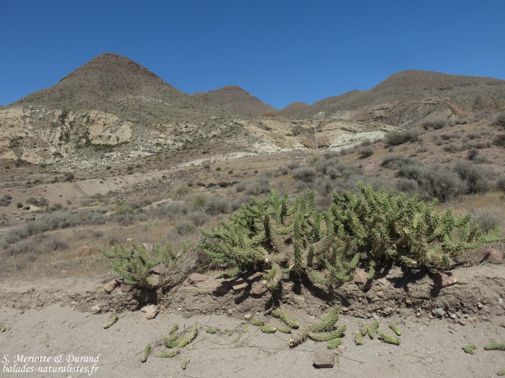 San Jose, Cabo de Gata
