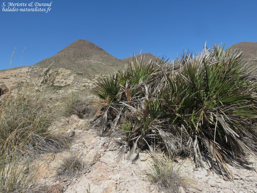 San Jose, Cabo de Gata