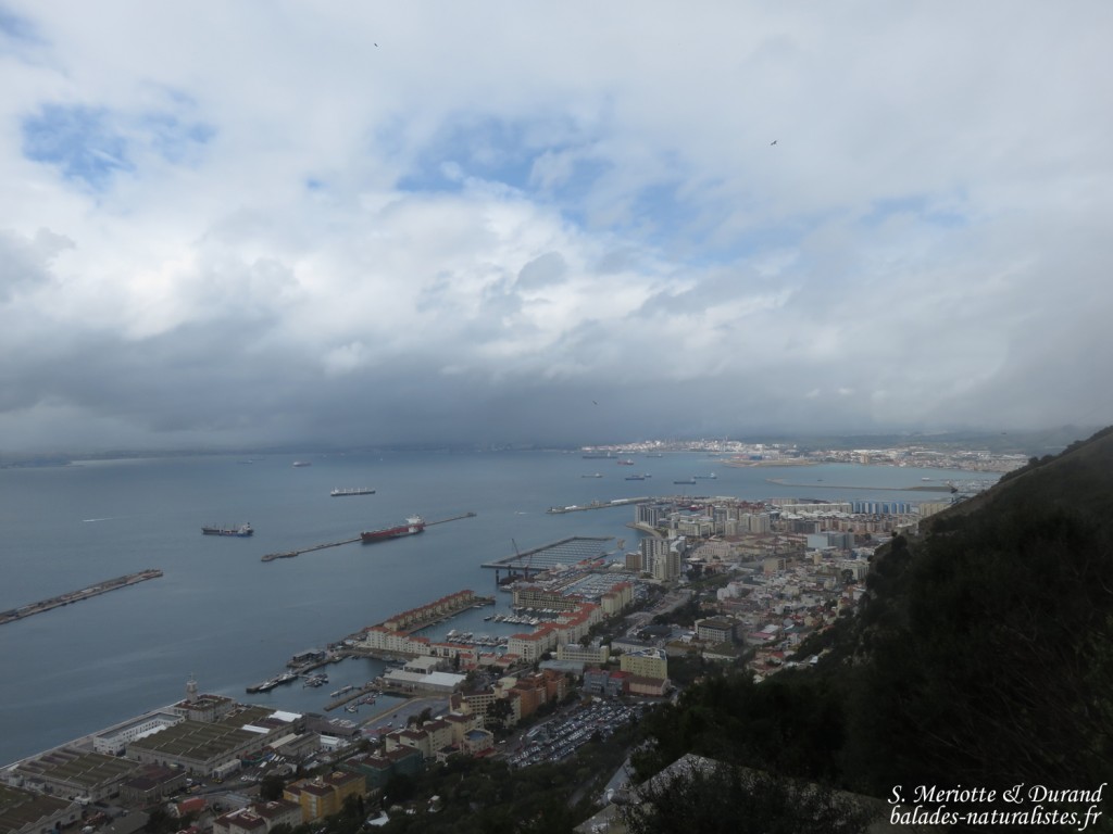 Rocher de Gibraltar 