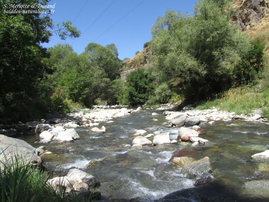 Torrent dans les monts Vardenis