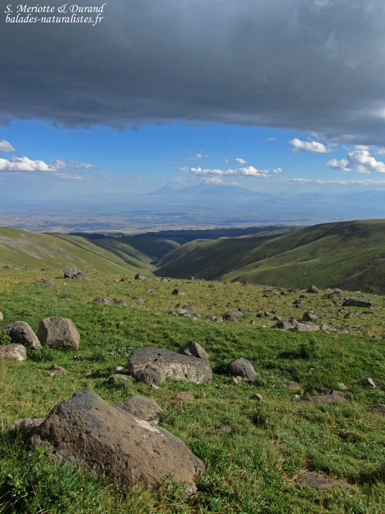 Les pentes du Mont Aragats