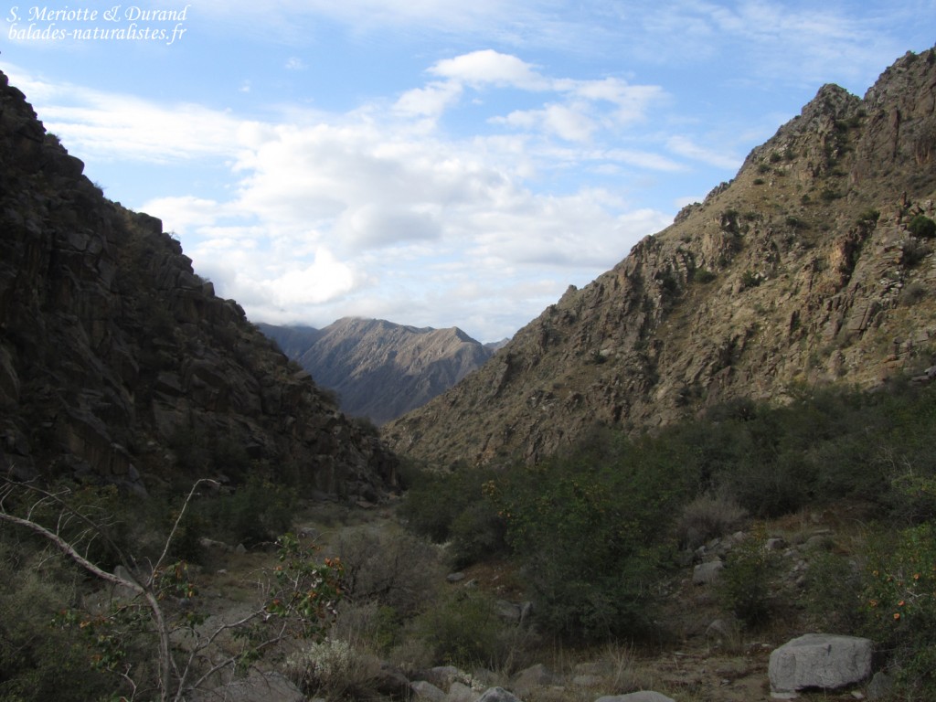 Wadi sec à Meghri