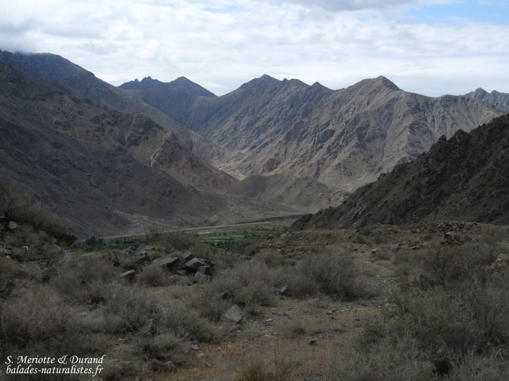 Wadi sec à Meghri