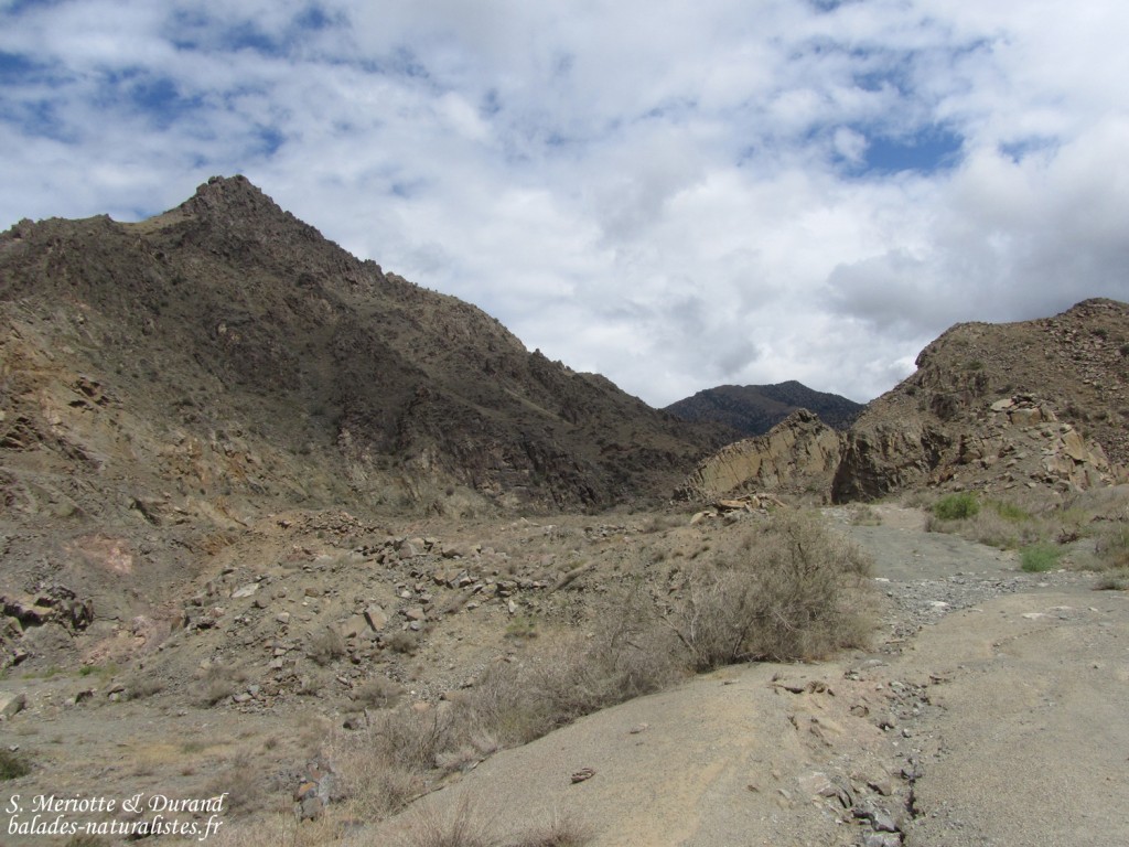 Wadi sec à Meghri