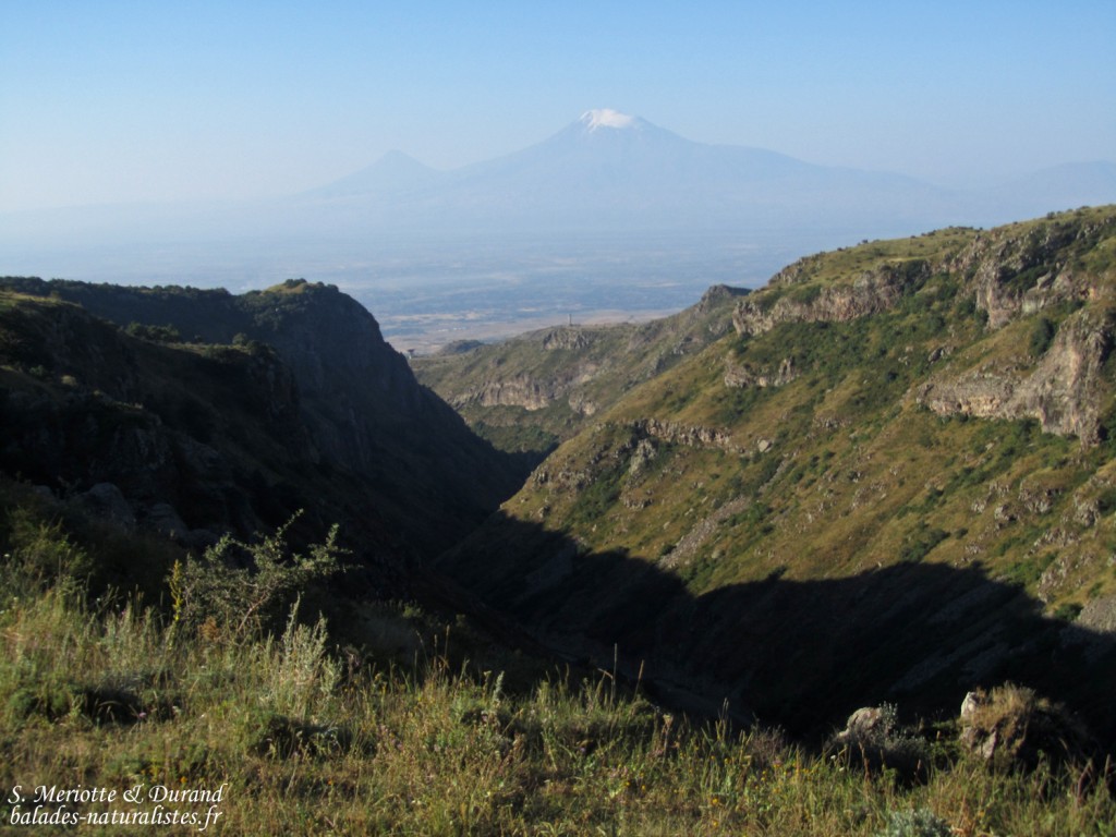 Chemin pour la forteresse d'Amberd