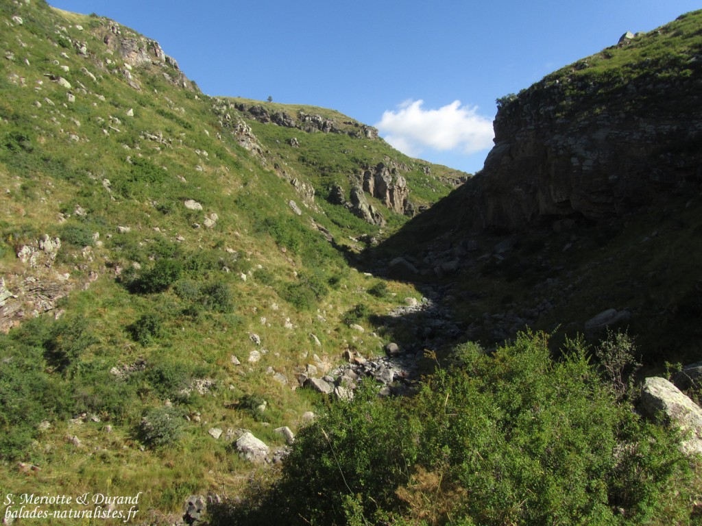 Chemin pour la forteresse d'Amberd