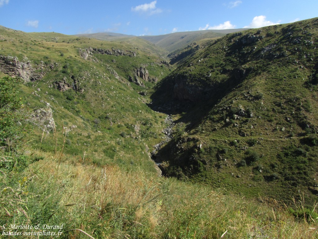 Chemin pour la forteresse d'Amberd