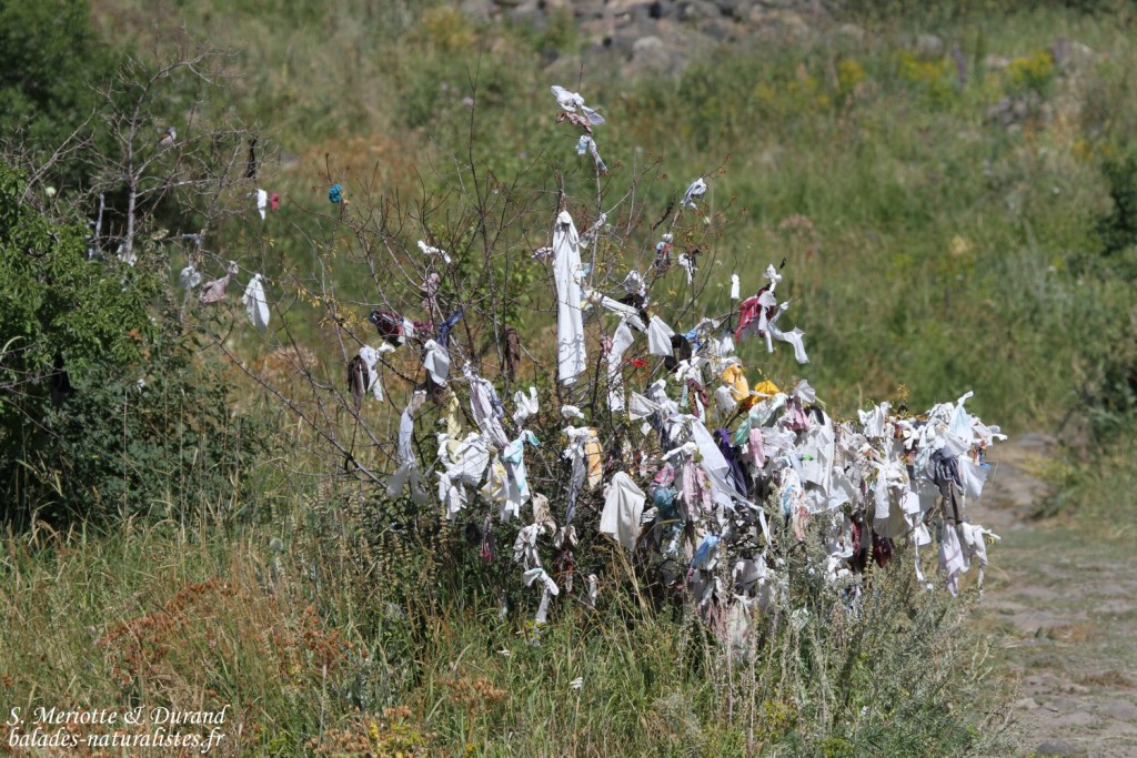 Arbre à souhaits, Forteresse d'Amberd