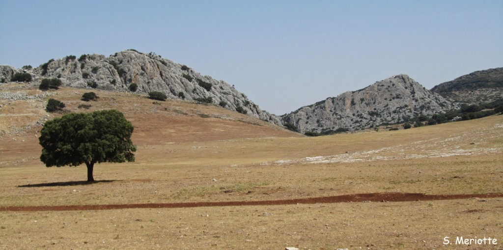 Sierra de Ronda