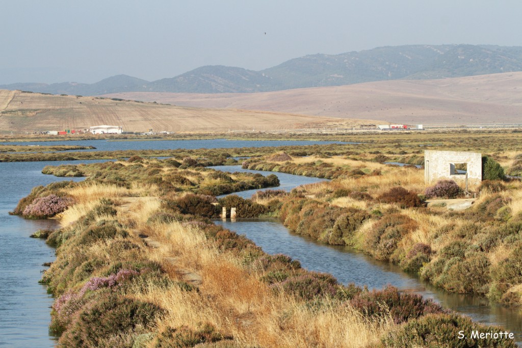 Marais de Barbate