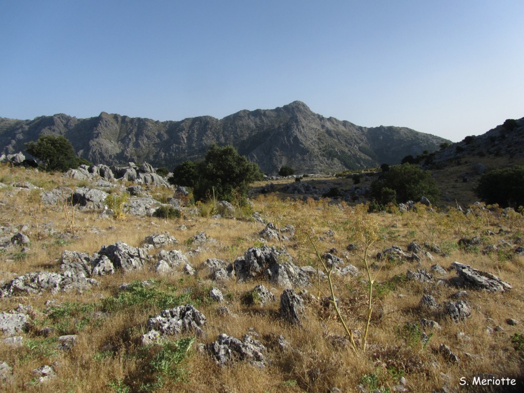 Sierra de Grazalema