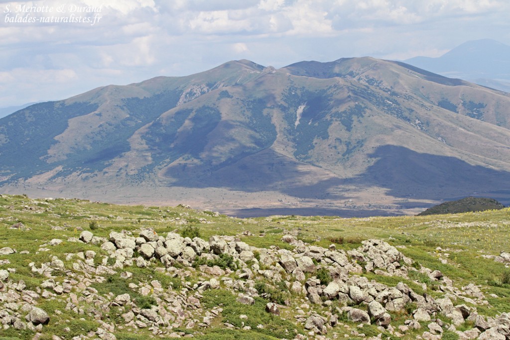 Vue depuis le mont Aragats sur les volcans