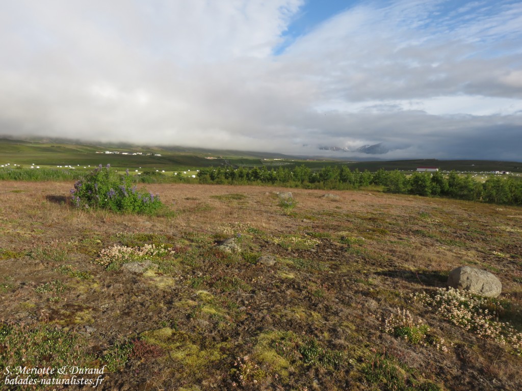 Paysages près de Dalvik