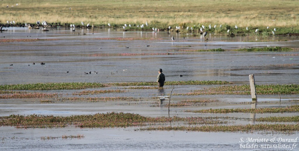 Pêcheur sur le Lac Sevan