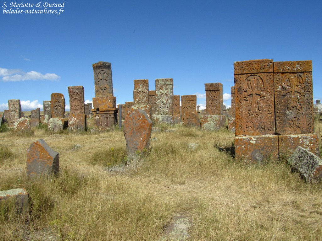 khatchkars du cimetière de Noradouz près du lac Sevan