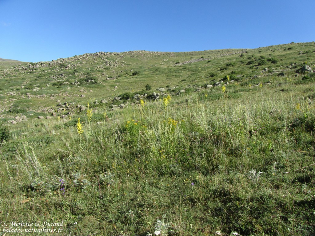 Mont Aragats, Arménie