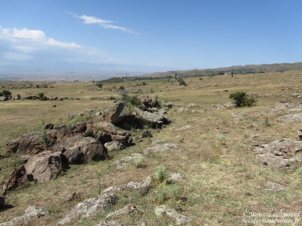 Pied du mont Aragats