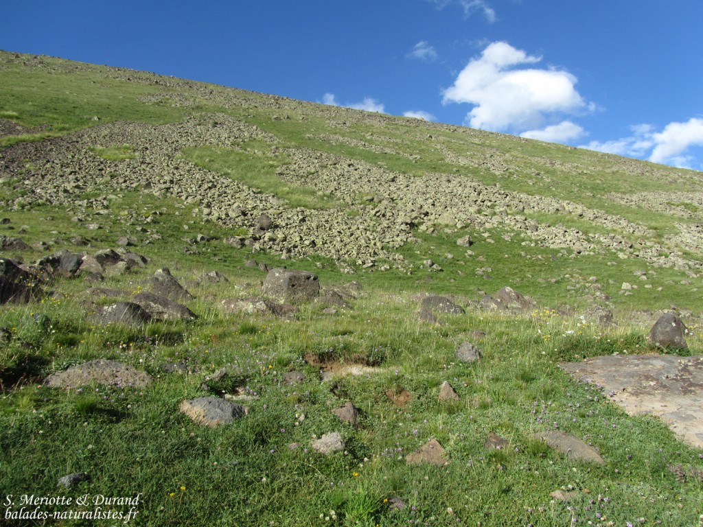 Pierriers de l'Aragats