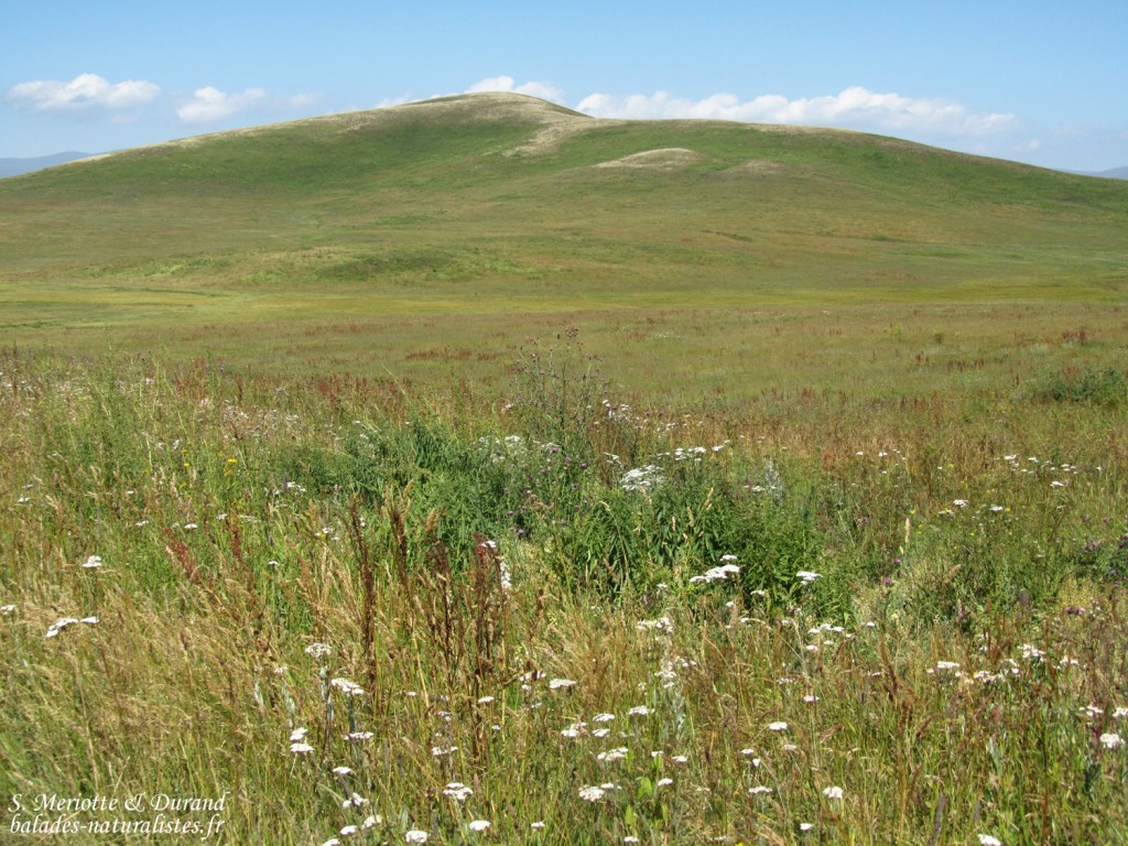 Parc national du lac Arpi