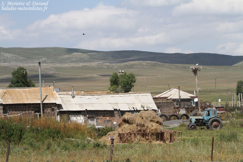 Parc national du lac Arpi