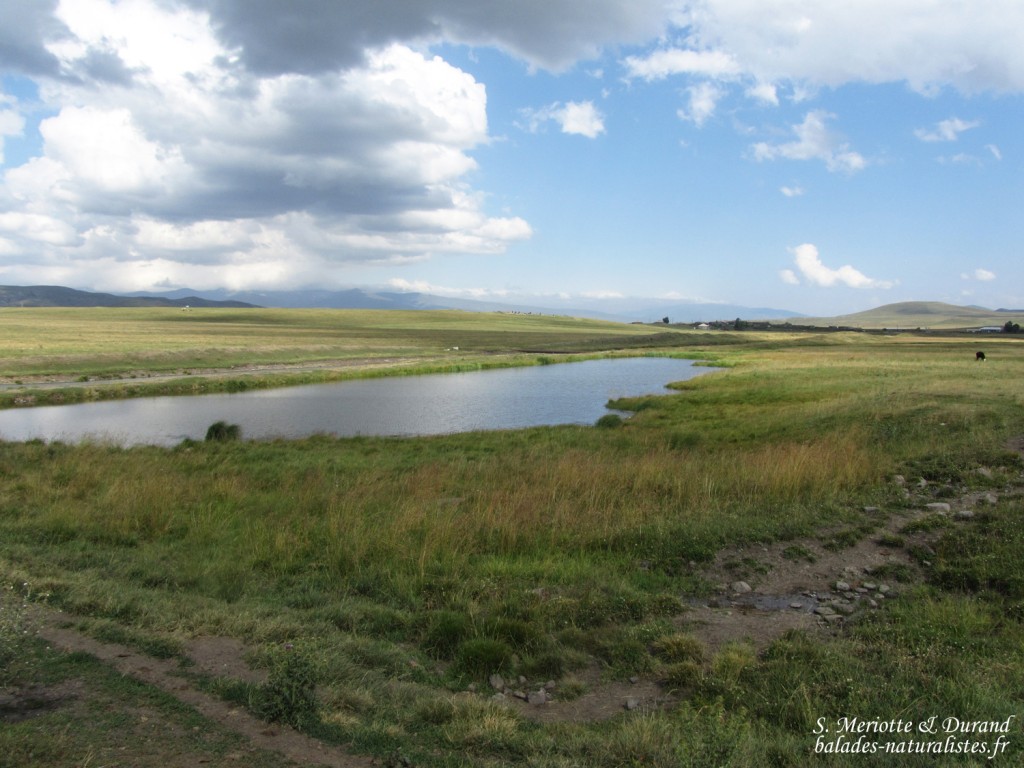 Parc national du lac Arpi