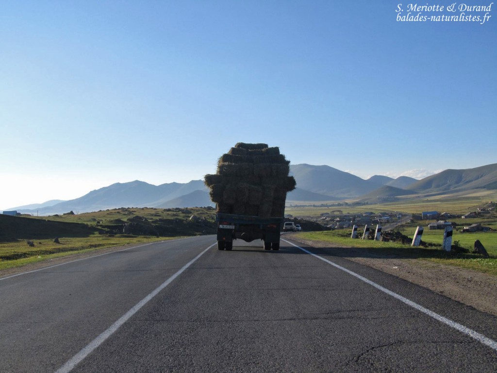 Plaines au pied de l'Aragts