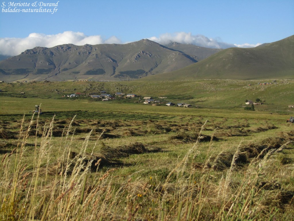 Plaines au pied de l'Aragts