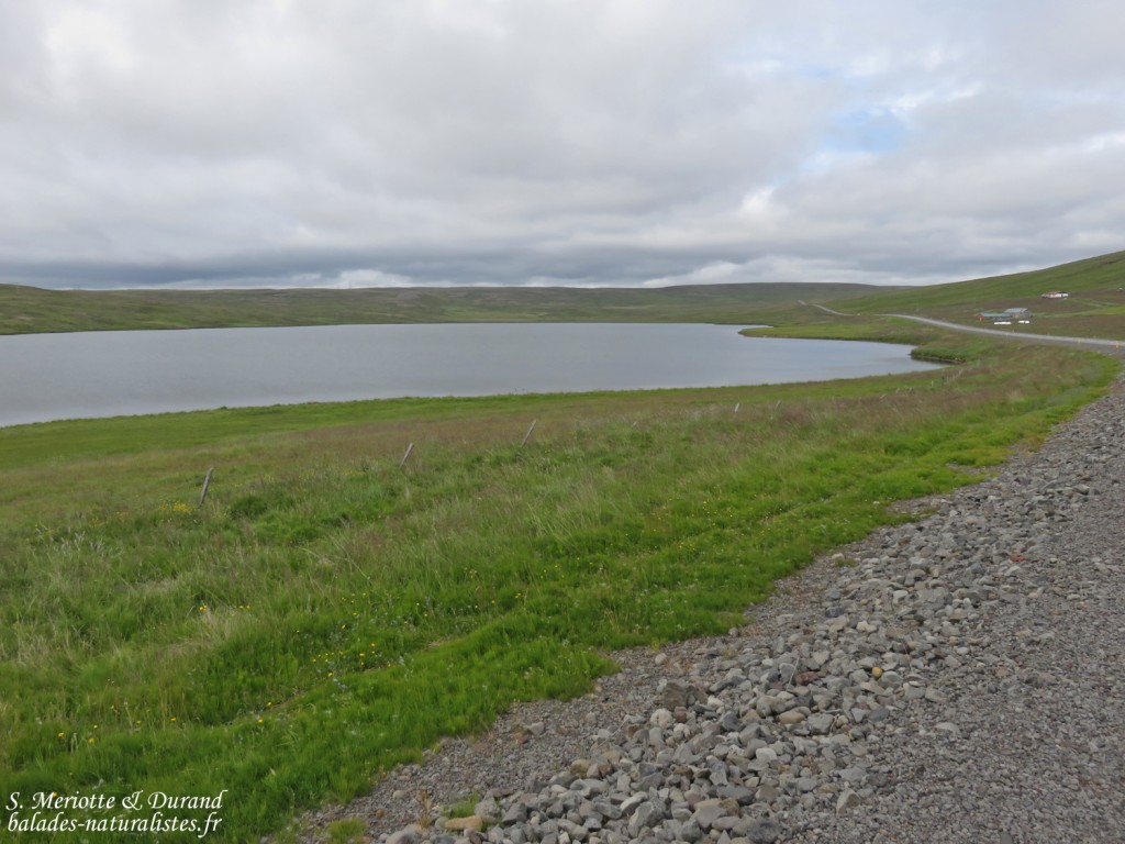 Petit lac au bord de la N1
