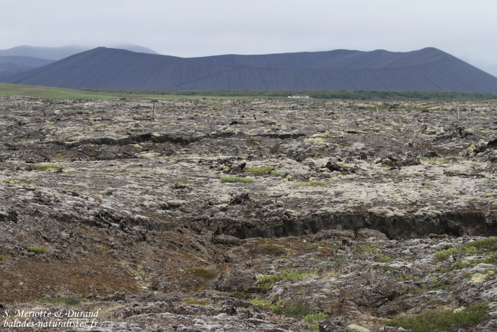 Paysages autour du lac de Myvatn