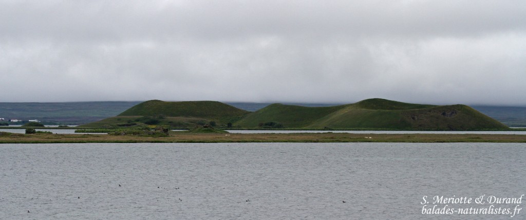 Cratères autour du lac de Myvatn