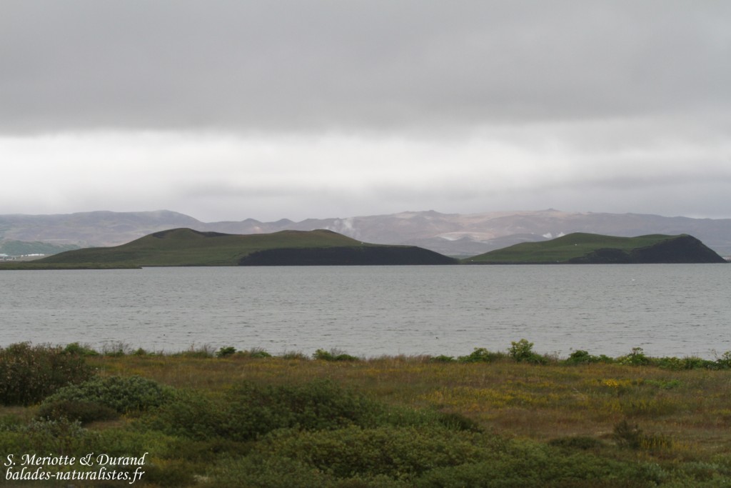 Lac de Myvatn