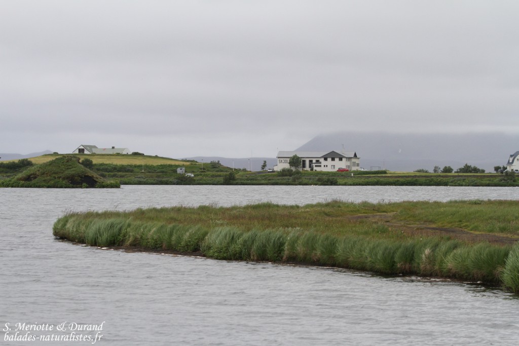 Lac Myvatn