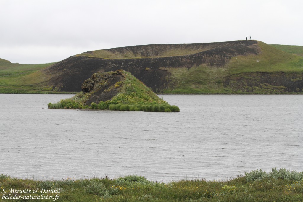 Cratère sur le Lac Myvatn