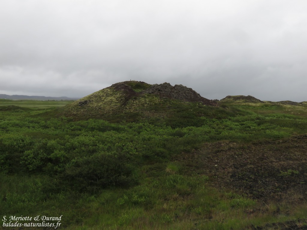 Cratère sur le Lac Myvatn