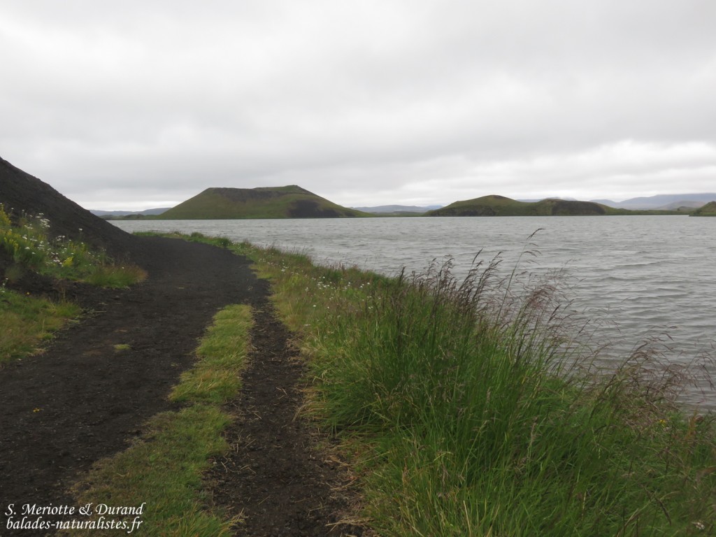 Lac de Myvatn