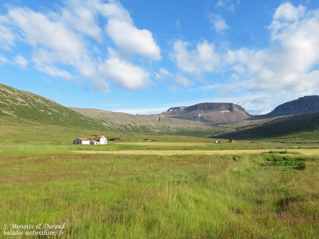 Fjords du Nord-ouest