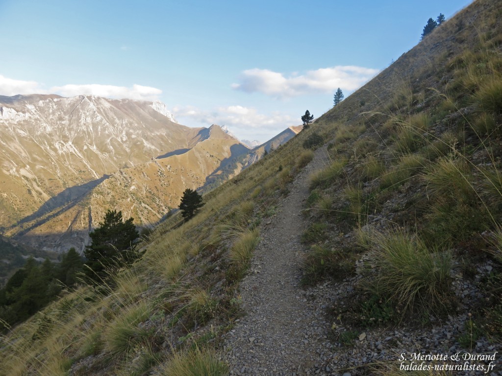 Chemin de ronde de Chaudun