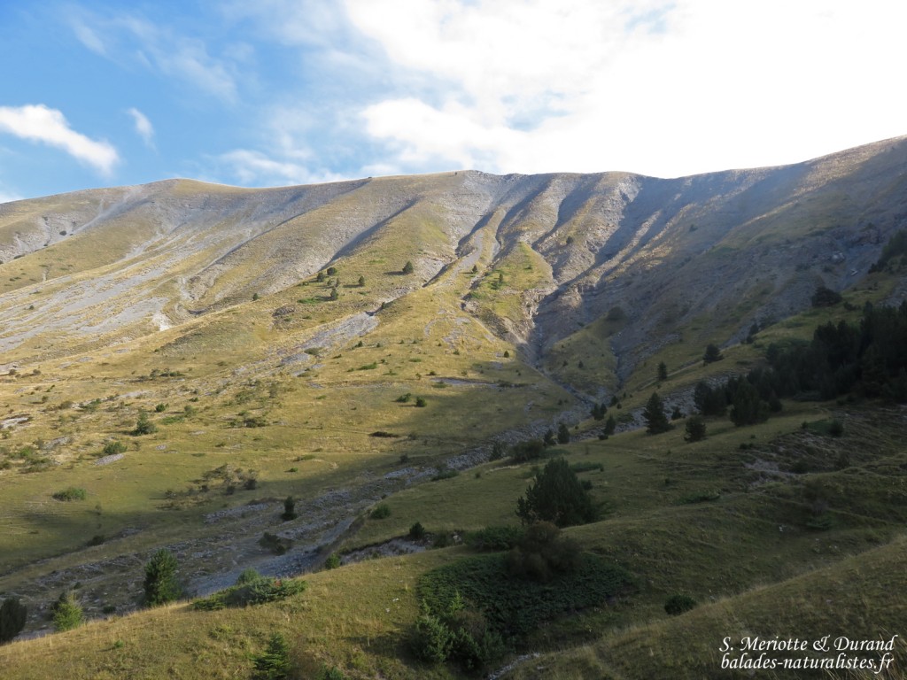 Chemin de ronde de Chaudun