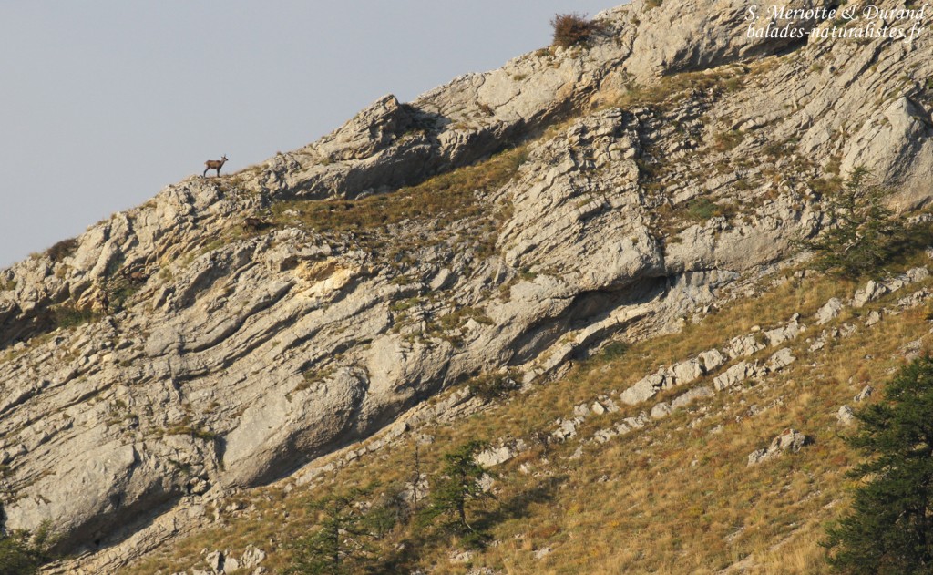 Chamois, chemin de ronde de Chaudun