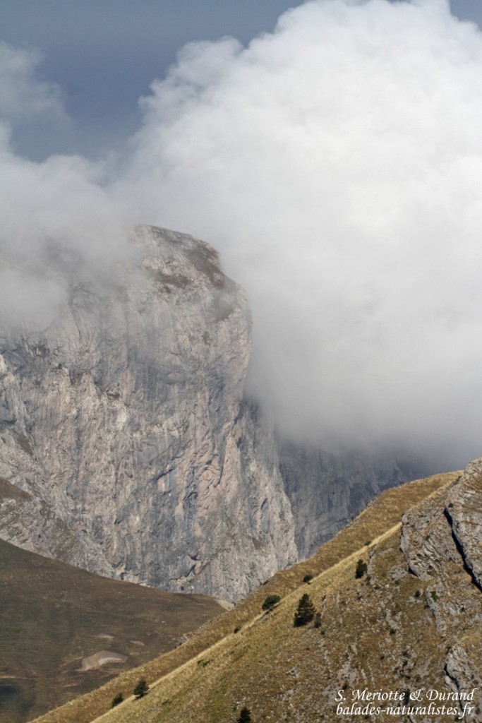 Panorama depuis le chemin de ronde de Chaudun