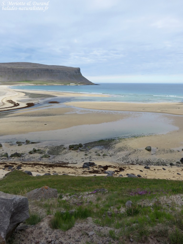 Route pour Latrabjarg
