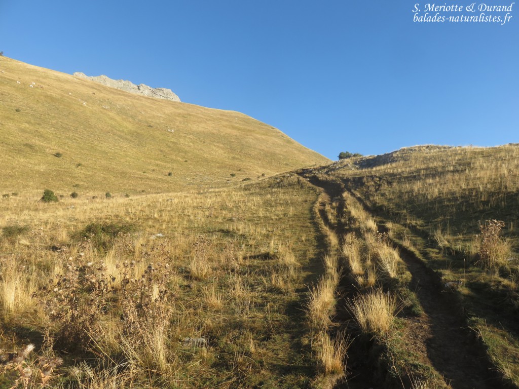 Sentier vers le Pic de Gleize