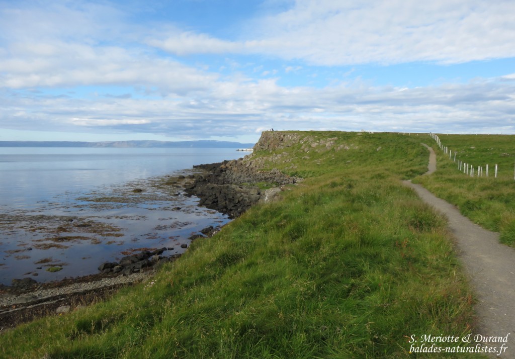 Sentier littoral sur Flatey