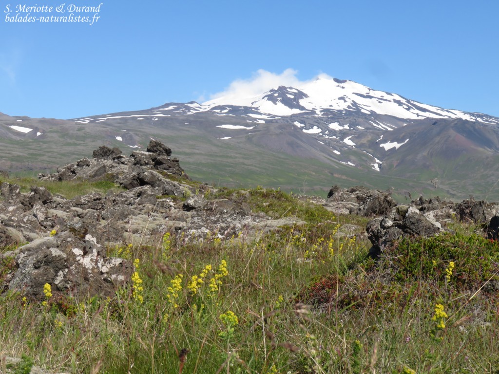 peninsule-de-snaefellsnes-15