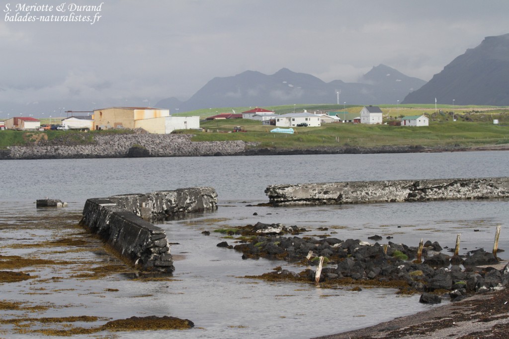Village côtier sur la péninsule de Snaefellsness