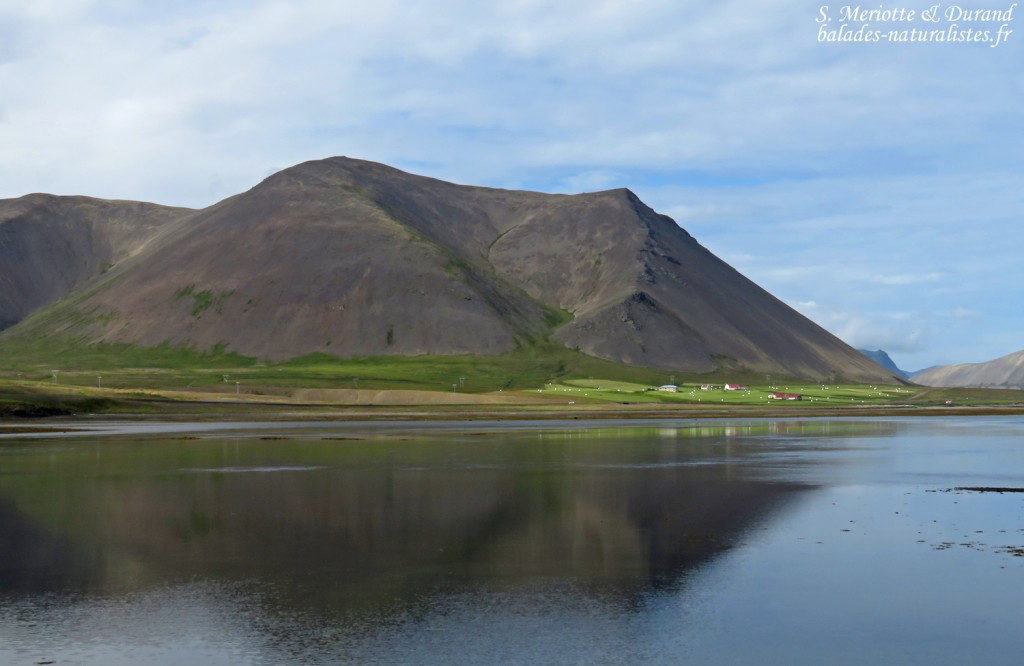 Cône pyroclastique, Péninsule de Snaefellsness
