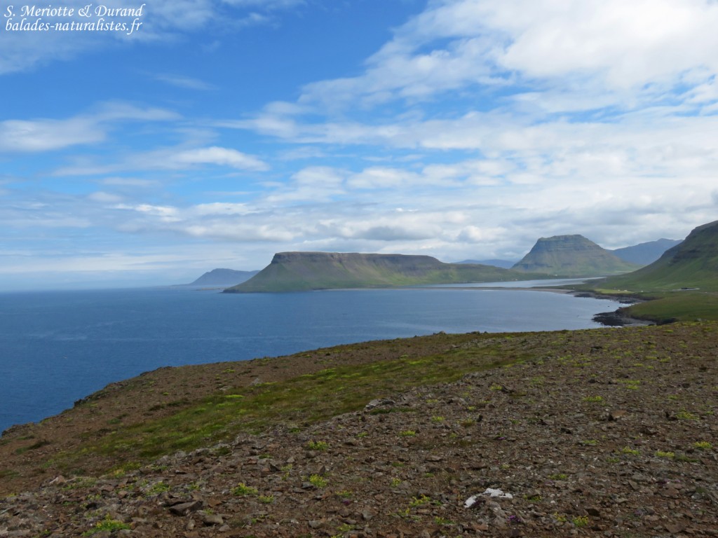 La côte nord de la péninsule de Snaefellsness