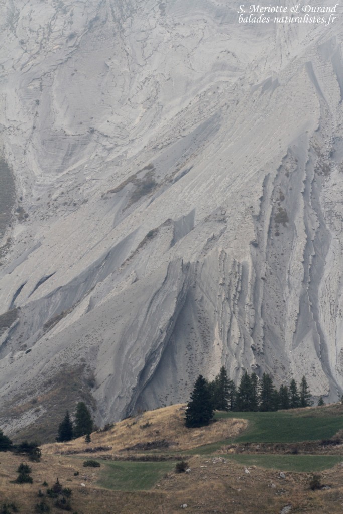 Vue sur le Devoluy depuis le Pic de Bure
